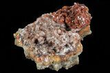 Red Calcite Crystal Cluster - Mexico #72012-1
